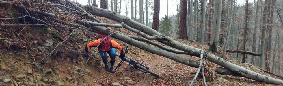 Rowerem po Bieszczadach Singletrack Pod Honem