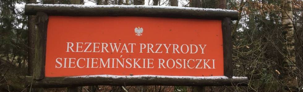 Spacer do rezerwatu Sieciemińskie Rosiczki 03.01.2021