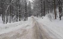 Co prawda droga samochodowa ale śnieg pozwala na przemieszczanie się na nartach