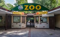 nowe zoo