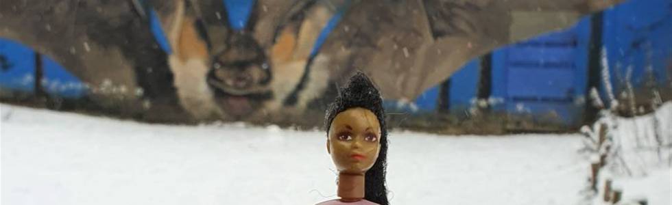 Zimowa Barbie w Kampinosie