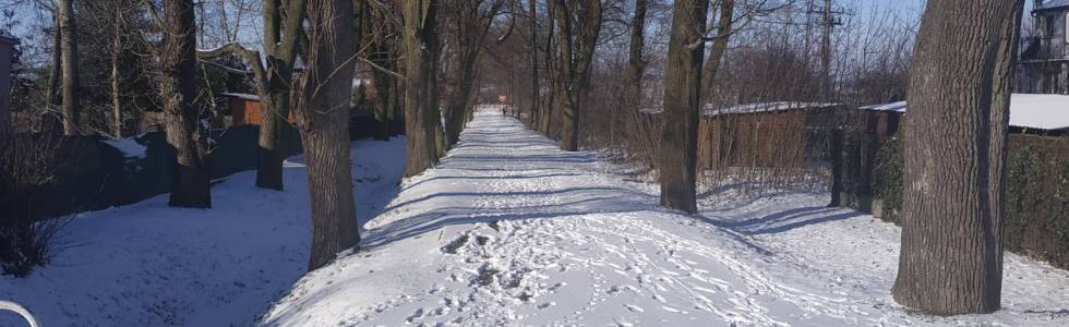 Mosina, WPN, Górka, Jeziory, Jarosławiec, Szreniawa, Wiry, Łęczyca, Puszczykowo