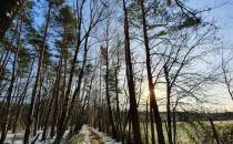 Ścieżka na skraju lasu