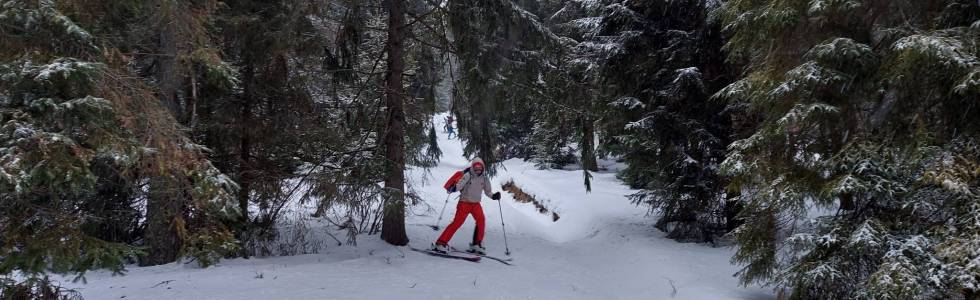 Zjazd z Hali Łabowskiej do Łomnicy (skitour)