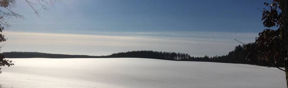 Trasa Sępolno Wielkie - Szczyt Krajoznawców - 13.02.2021 r.