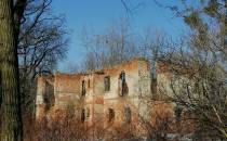 Ruiny pałacu Fragsteina