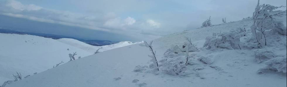 Snowgliding