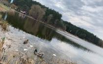 Jezioro Zalew