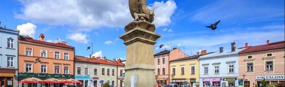 Skoczów - Gródek (CZ) Rodzinna Trasa Rowerowa