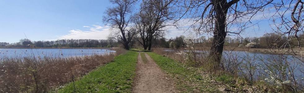 Rezerwat przyrody Stawy Raszyńskie