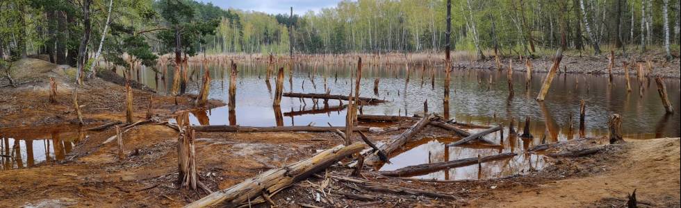 Łęknica - Park Mużakowski i ścieżka geoturystyczna 