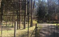 Cmentarz b. więźniów obozu koncentracyjnego Stutthof