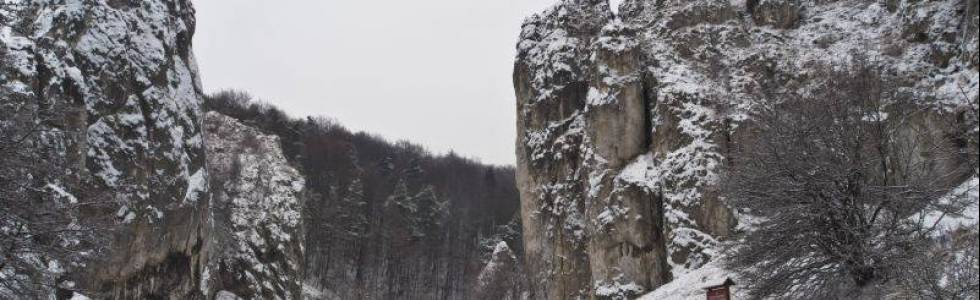 Dolina Bolechowicka i Kobylańska