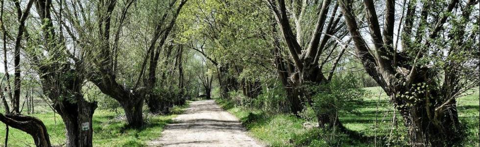 Ustka - Swołowo - Dolina Charlotty - Damnica