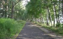 ścieżka rowerowa - szlak zielony