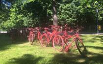 czerwone rowery