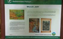 Wilcze Jary