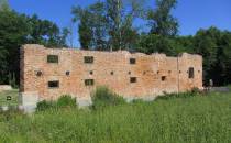 Ruiny zamku Wilczków