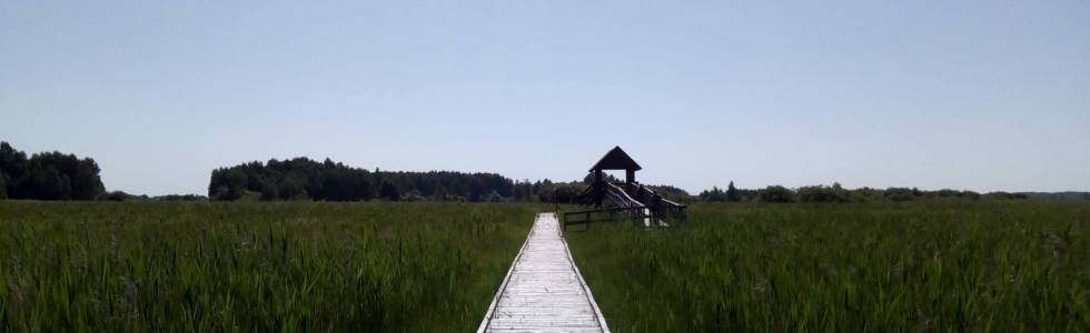 Poleski Park Narodowy, ścieżka przyrodnicza Czahary