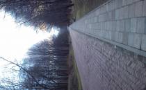 Alejka w parku Chorzowskim od strony Bytkowa