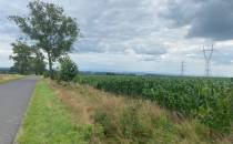 Panorama na Izery i Karkonosze