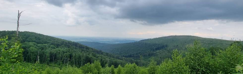 Jarnołtówek-Pokrzywna-Dębowiec- Jindřichov-Biskupia Kopa-Jarnołtówek