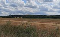 Widok na budującą się farmę wiatraków