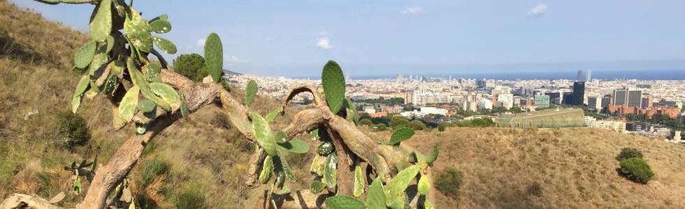 Trekking po wzgórzach wokół Barcelony