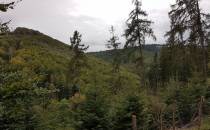 Ttawers góry Kuczaba widok na góry Niedźwiedzi Grzbiet i Końska Kopa