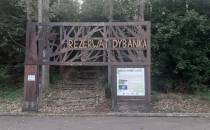 Rezerwat Dybanka