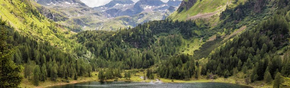 Wycieczka objazdowa Neualm - Jezioro Duisitzkarsee