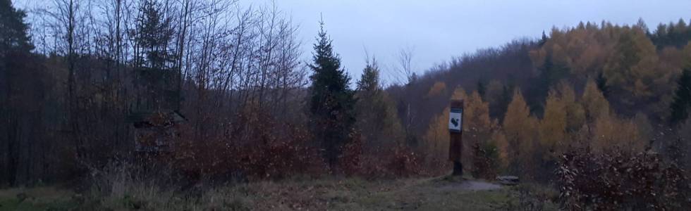 OTP 6km - Dolina Murszewska, szlak wiewiórki, czerwony, ogórd botaniczny i potok Murszewski
