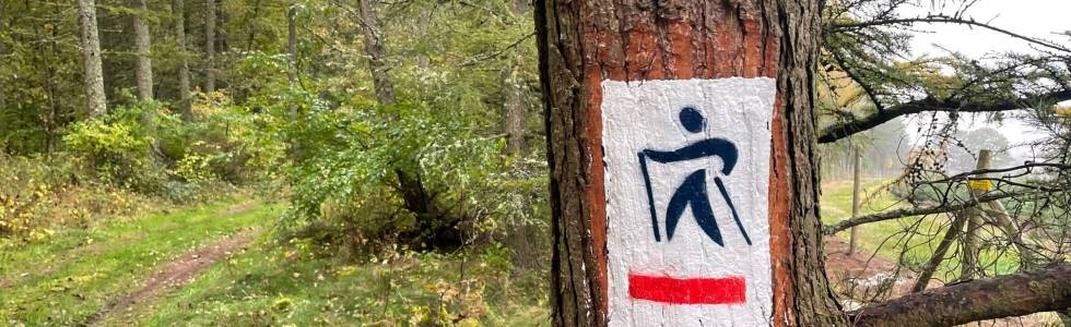 Trasy nordic walking Zagórki – trasa czerwona 5,9 km - Gmina Kobylnica