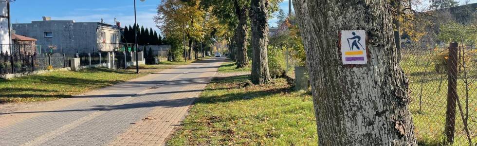 Trasy nordic walking Łosino – trasa żółta 7,7 km - Gmina Kobylnica
