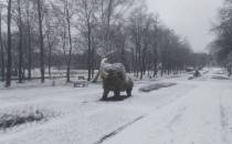 Słoń co uciekł z ZOO trochę się przybielił