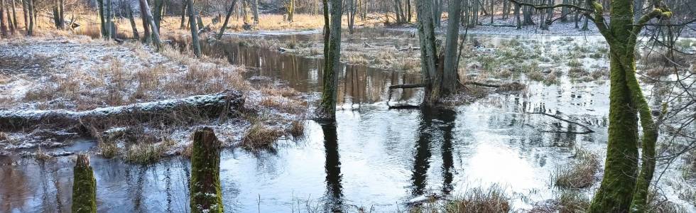 DOLINA SKRWY LEWEJ OBSZAR NATURA 2000 SZLAKIEM NEBIESKIM PIESZYM RUDA-SOCZEWKA