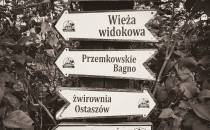 Wskazowka