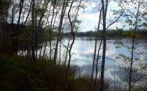 Jezioro na Rogozniku I 