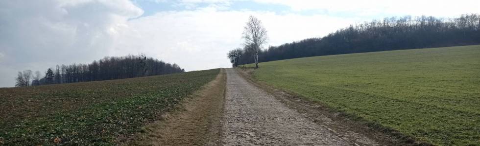 Z Ligoty Dolnej do Górnej przez Biesiec