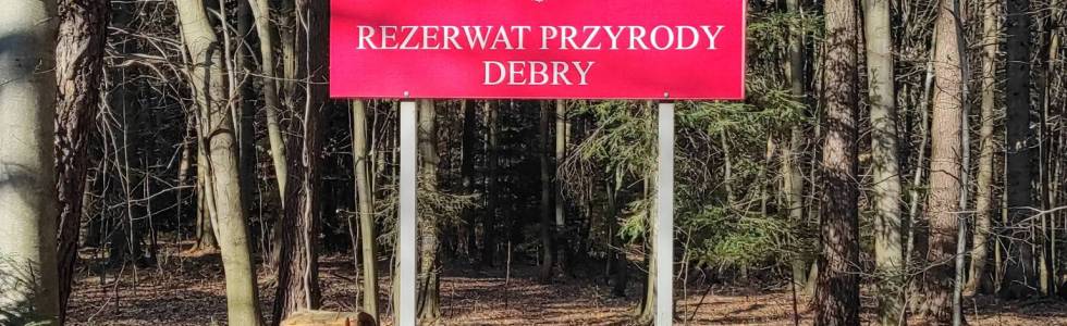 Malewszczyzna - Rezerwat Debry