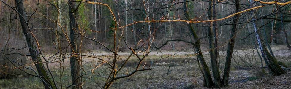 Krzyżowa Góra - Góra Donas - Źródło Marii po godzinach