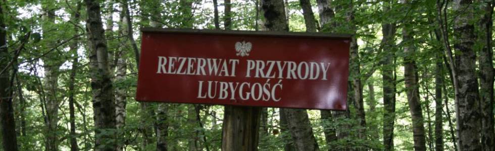 2012.08.04 - Kamienica Królewska - Rezerwat Lubygość - Nowa Huta - Kamienna Góra