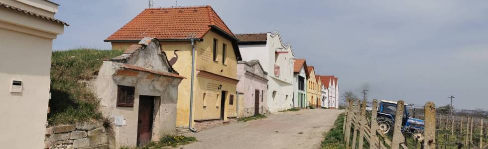 Mikulov szlak winny