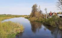 Widok na Narew