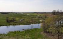 Narew