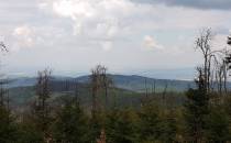 Droga na Równię widok na Borsucze Wzgórze i Obniżenie Świdnickie