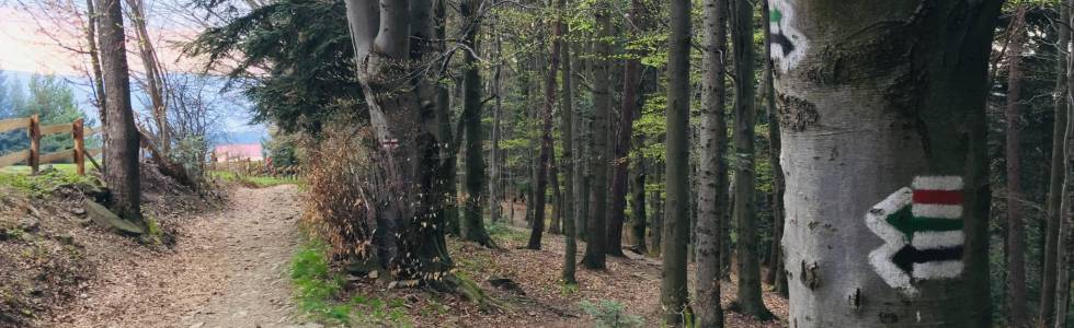 MSB dzień 1.  Luboń Wlk. - schronisko PTTK na Kudłaczach