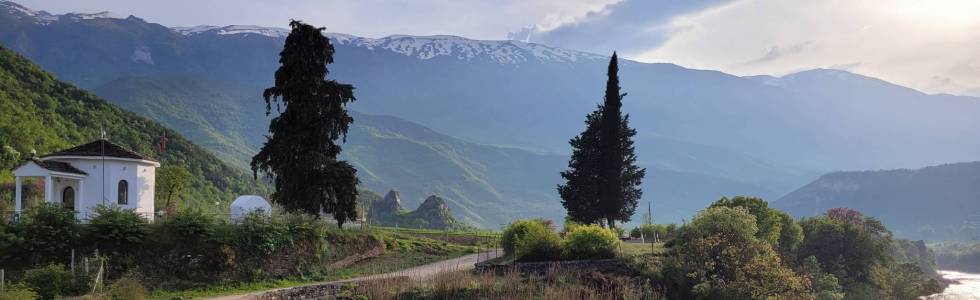 Albania 4 Farma Sotira -Bual /Pernet/