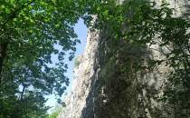 grupa skał Łyse Skały w Dolinie Szklarki