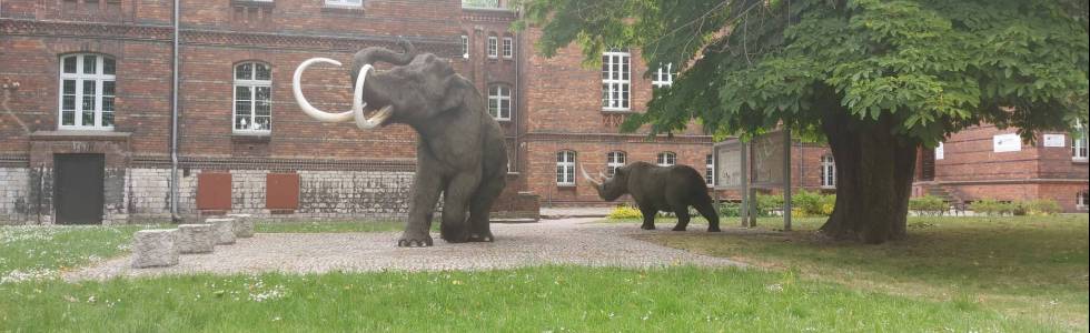 Odwiedziny u mamuta i nosorożca włochatego w Pyskowicach